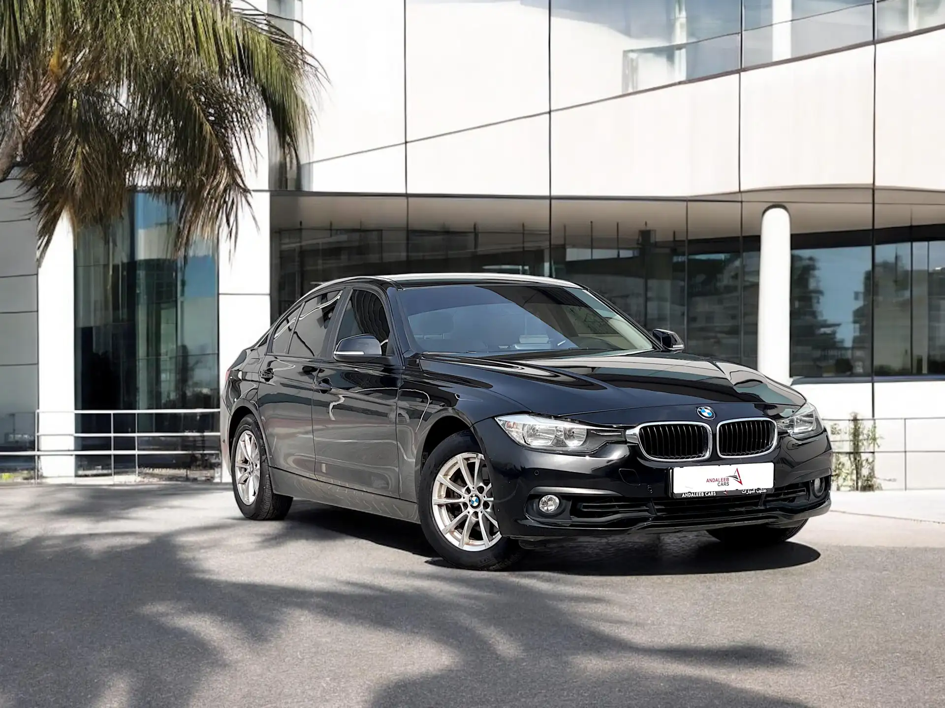 BMW 3 Series 2016 1.6L