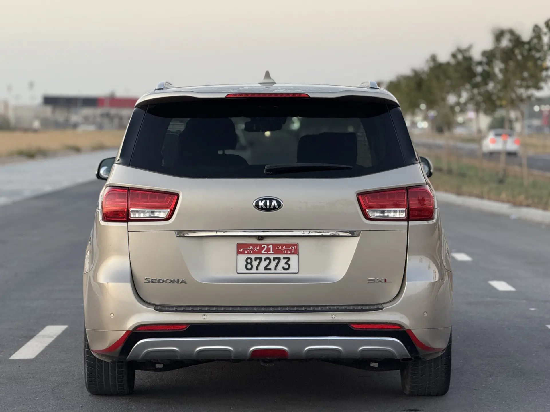 Kia Sedona 2015