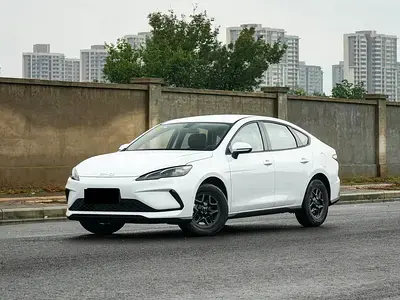 بي واي دي سيل 2025