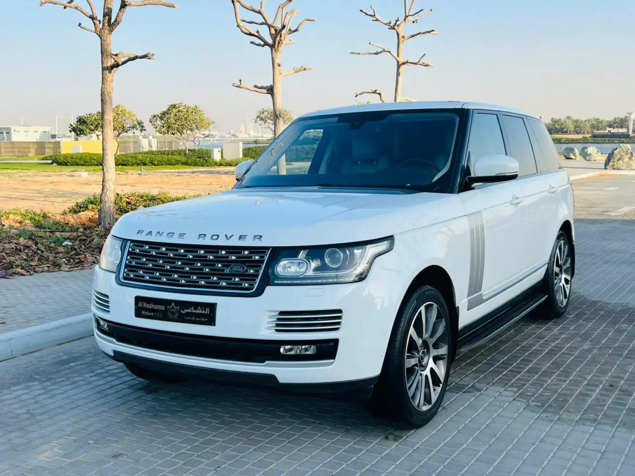 Land Rover Range Rover Vogue 2014 undefinedL