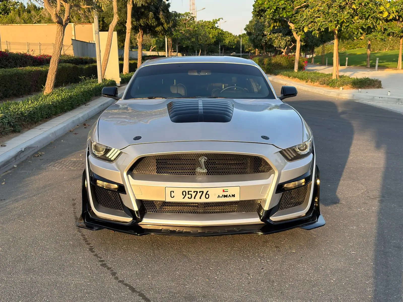 فورد موستانج 2017 undefinedL