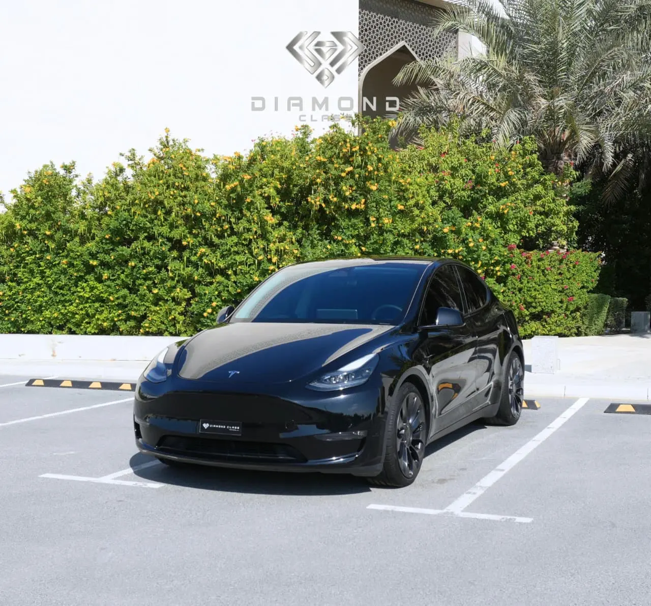 Tesla Model Y 2024 undefinedL