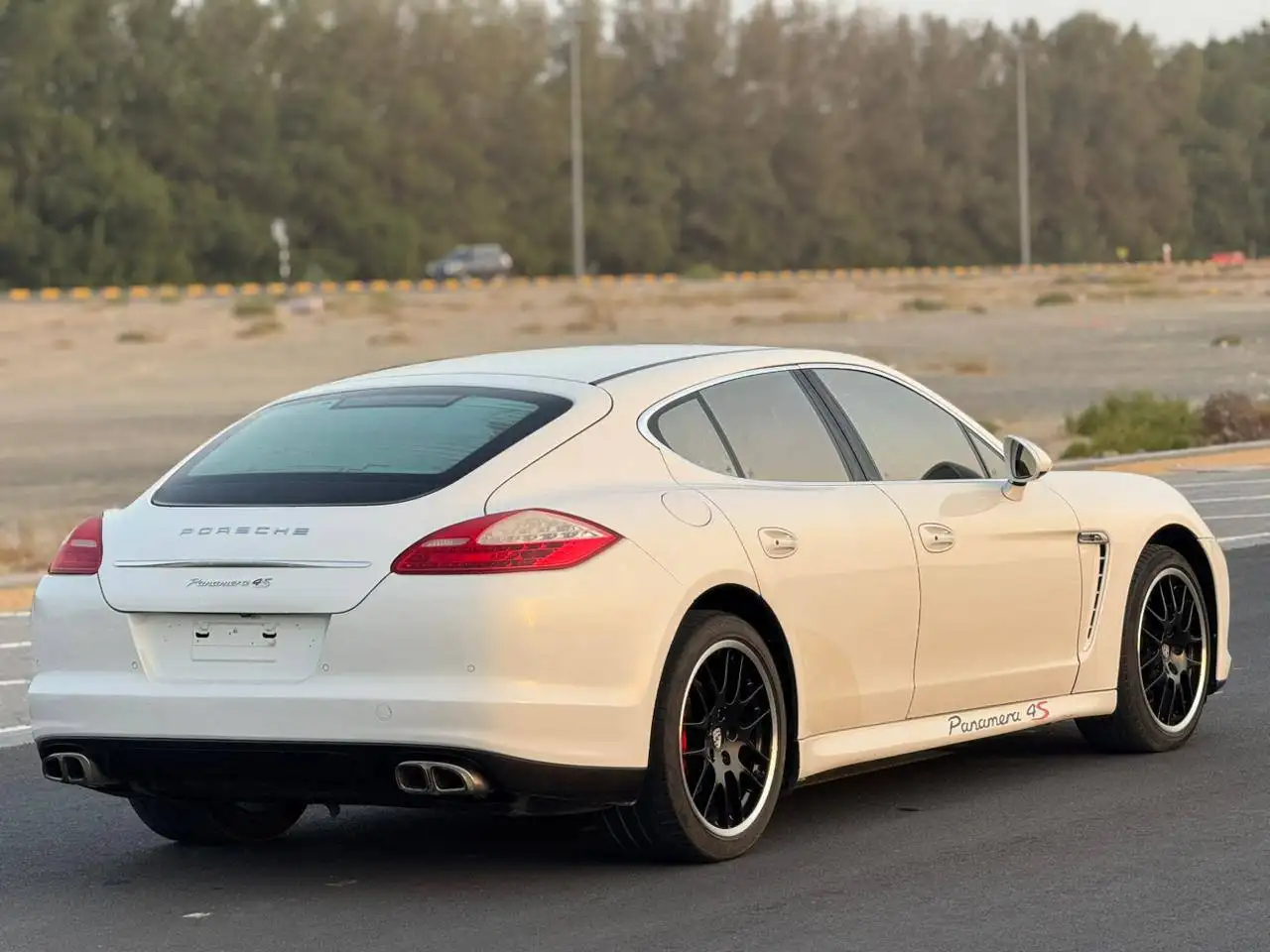 Porsche Panamera 2010