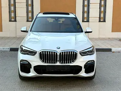 BMW X5 2019 3L