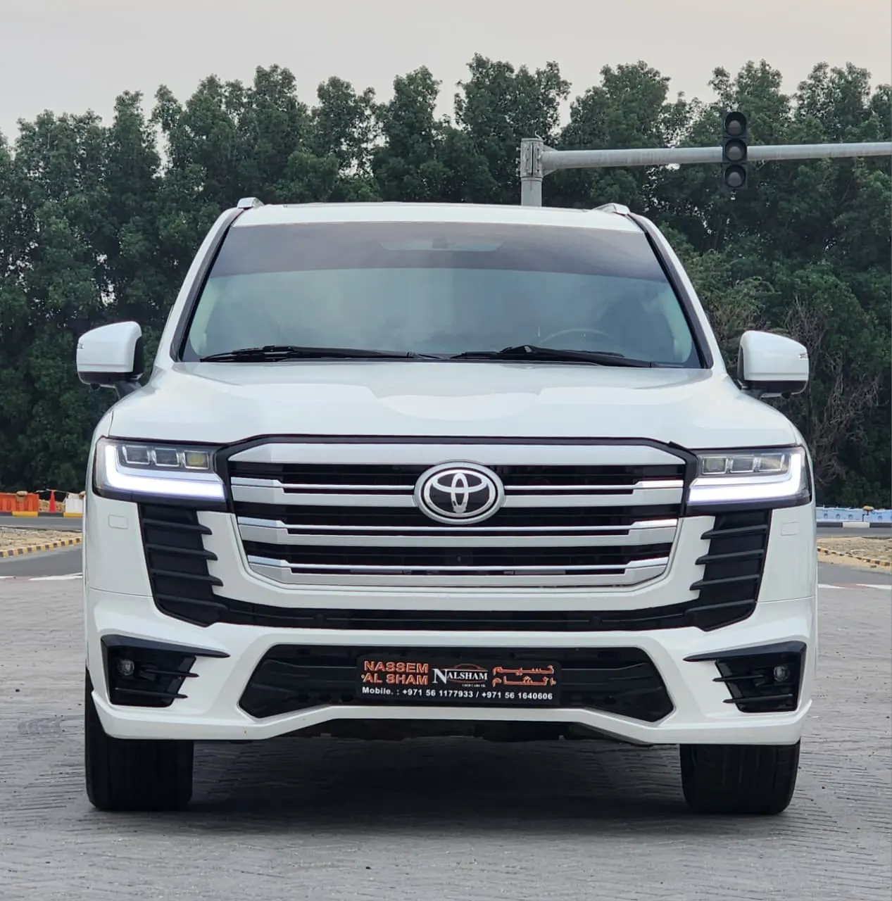 Toyota Land Cruiser 2009