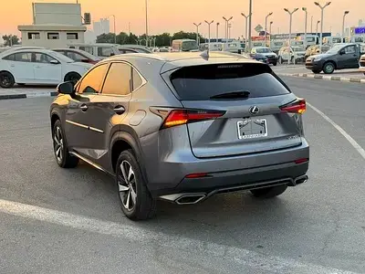 Lexus NX 2020