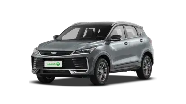 جيلي كول تري