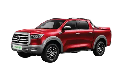 Poer Pick-Up