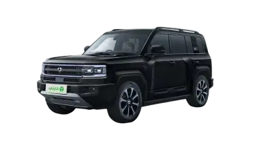 Denza B5