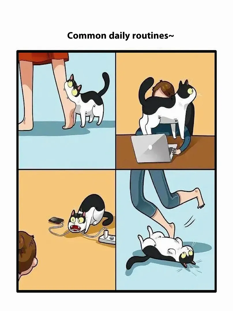 أبارث 595 2024 null