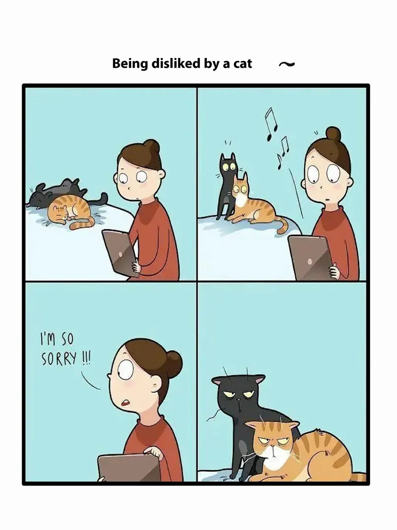 أبارث 595 2024 null