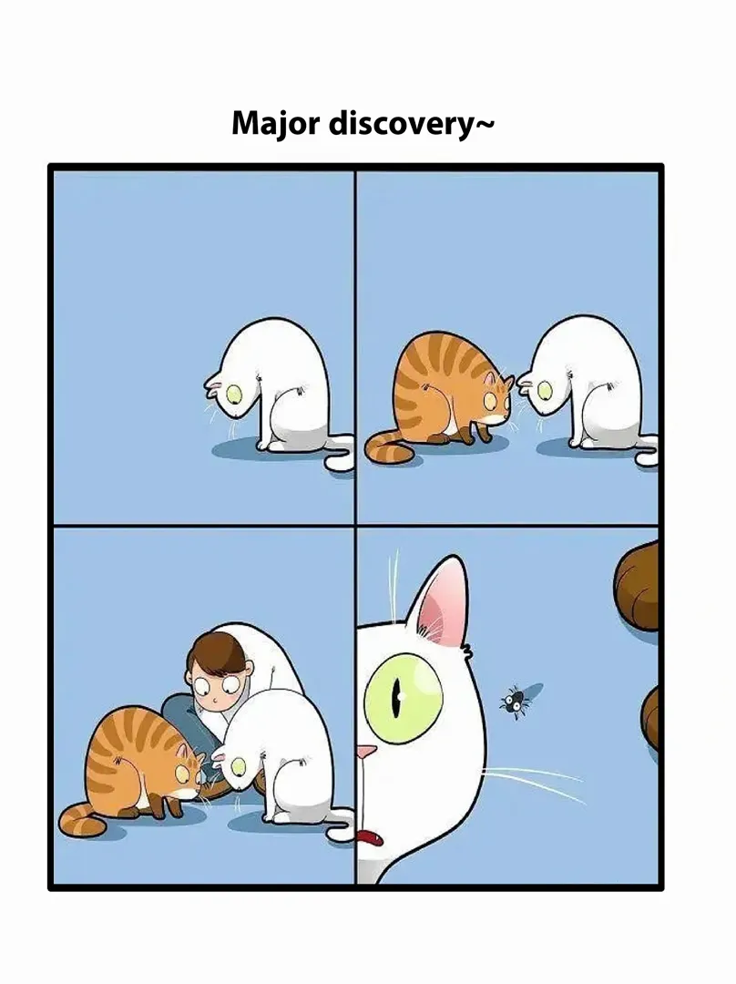 أبارث 595 2024 null