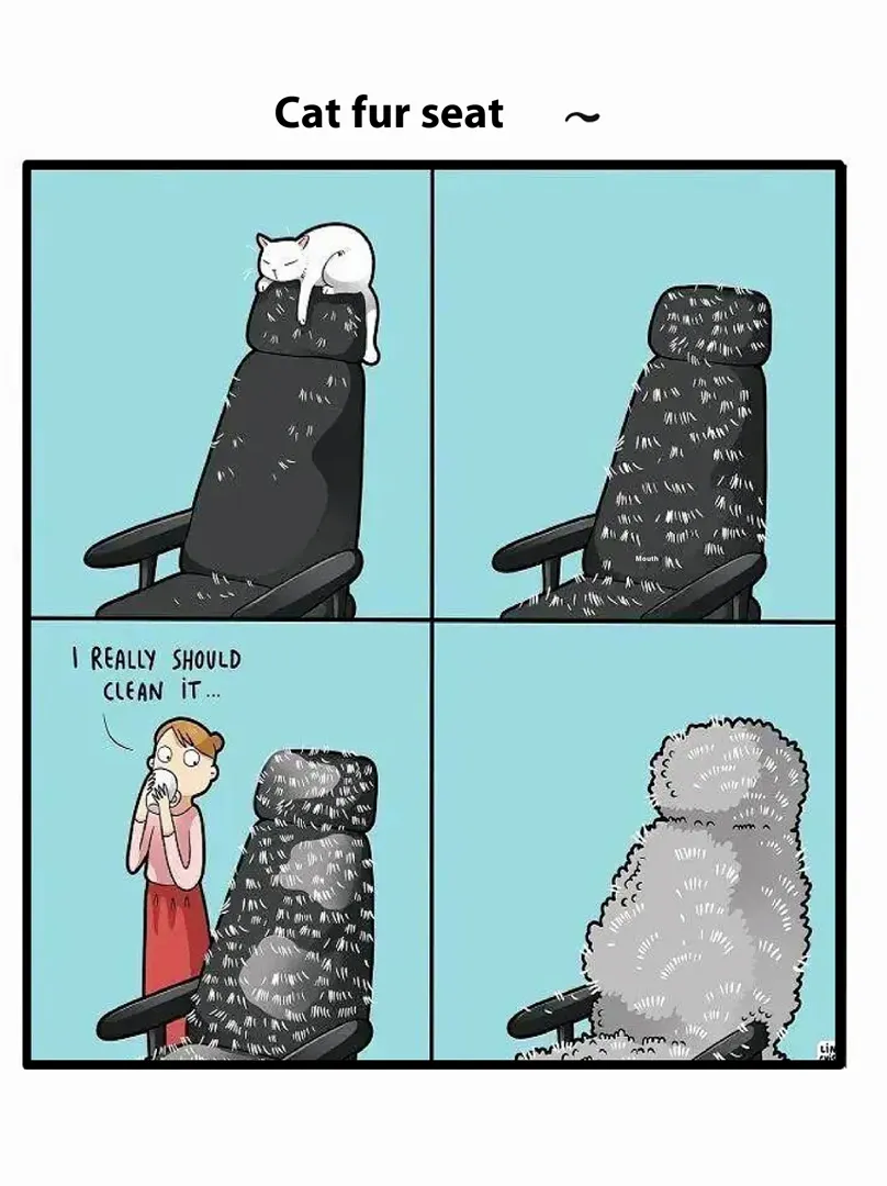 أبارث 595 2024 null