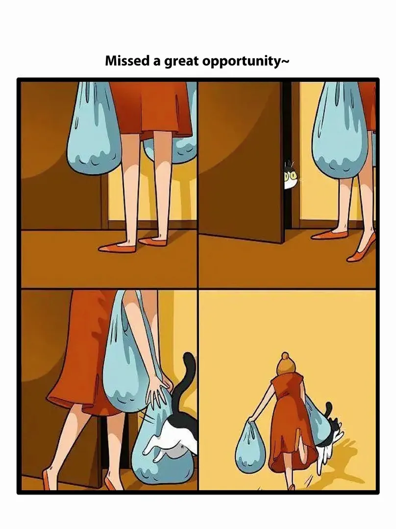 أبارث 595 2024 null