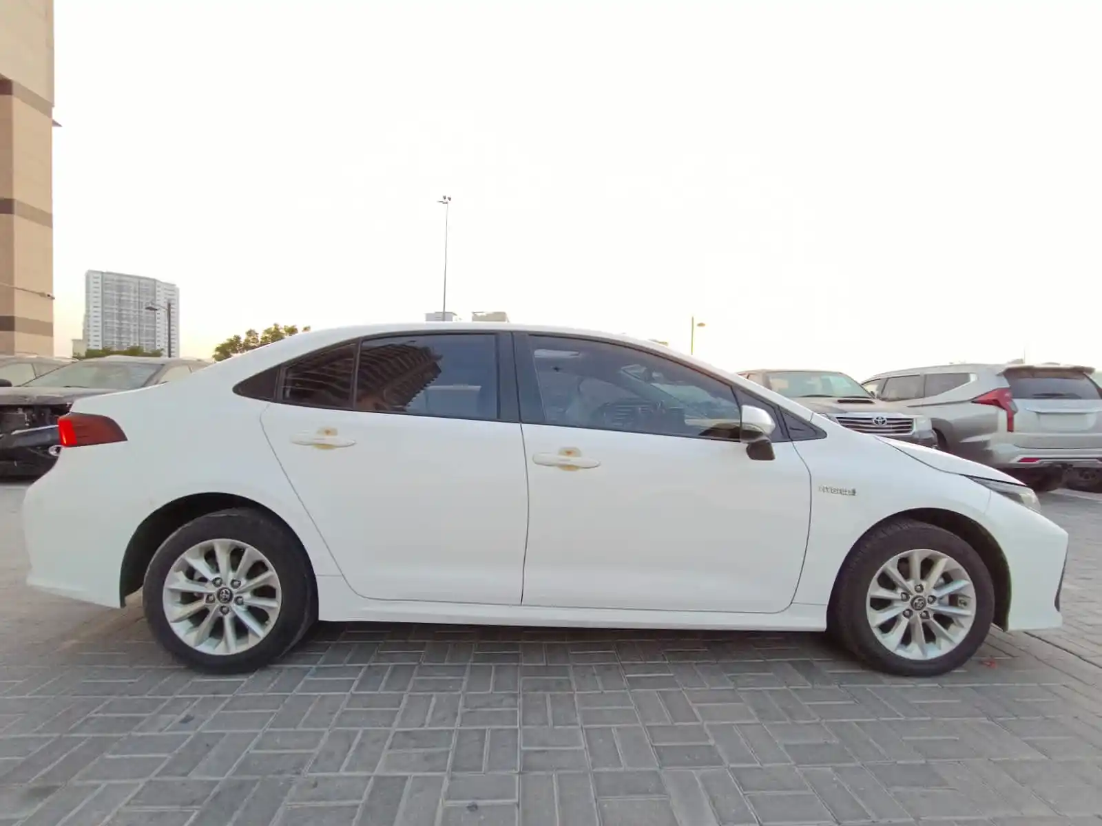 تويوتا كورولا 2022 null