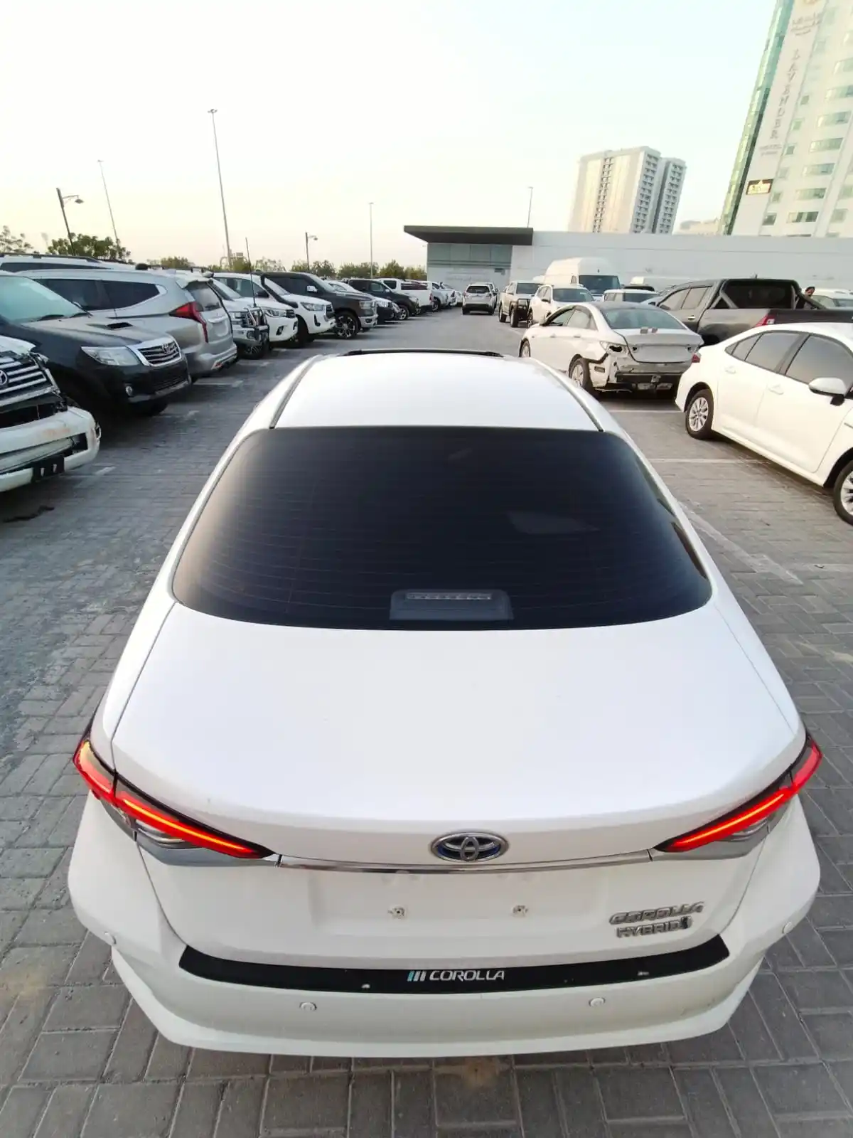 تويوتا كورولا 2022 null