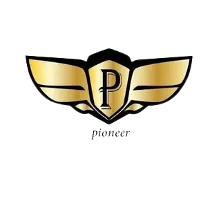 nissan-nissan-sunny-Pioneer Cars