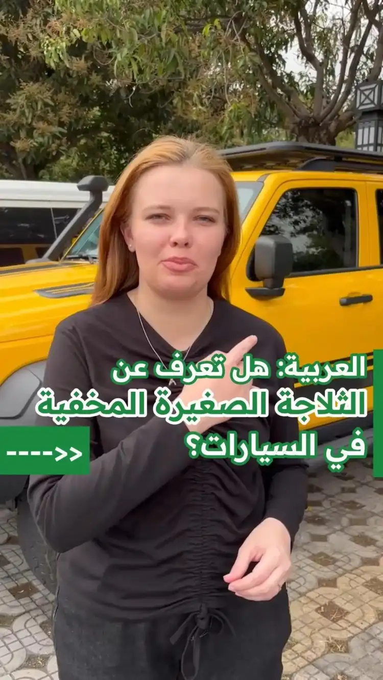 How to Properly Use a Hidden Refrigerator