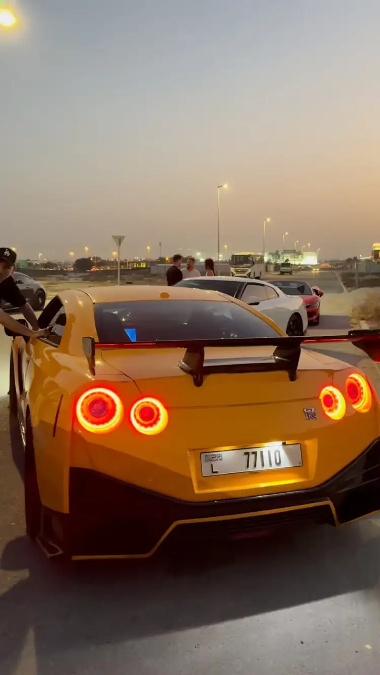 Nissan GT-R Godzilla is crazy!