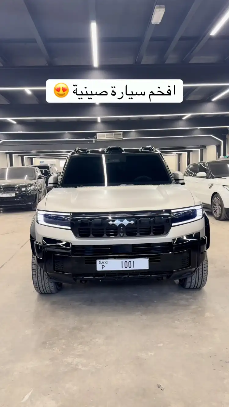 كيف تم تعديل هذا الـ Leopard 8؟