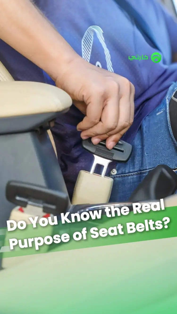 Do you know the real purpose of seat belts?
