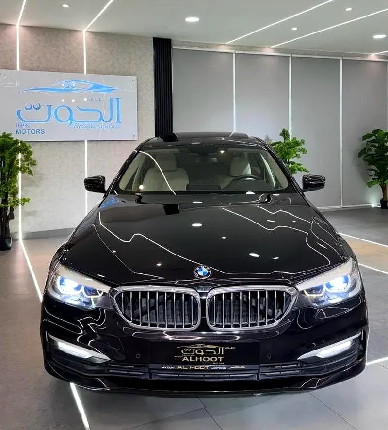 BMW 5 Series 2019