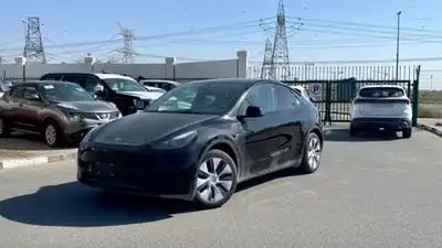 تسلا موديل Y STANDARD | Full Eclectic | Model 202 brand new