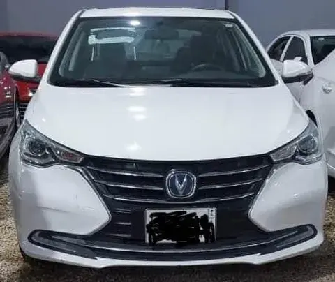 شانجان السفن 2023