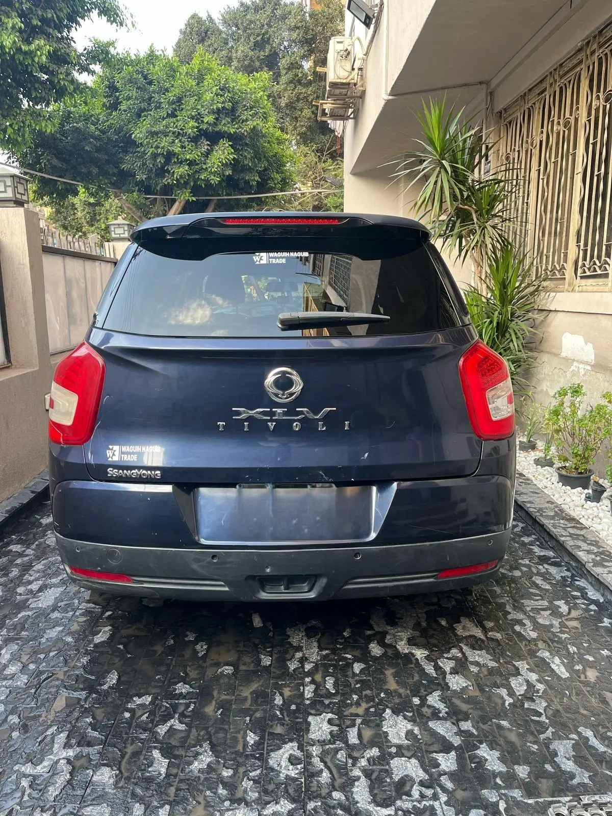 سانج يونج تيفولي 2019