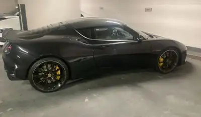 لوتس إيفورا Other