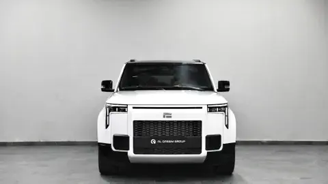 New ROX 01 1.5T VIP (PHEV) 2025