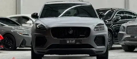 جاكوار إي-بيس 2024