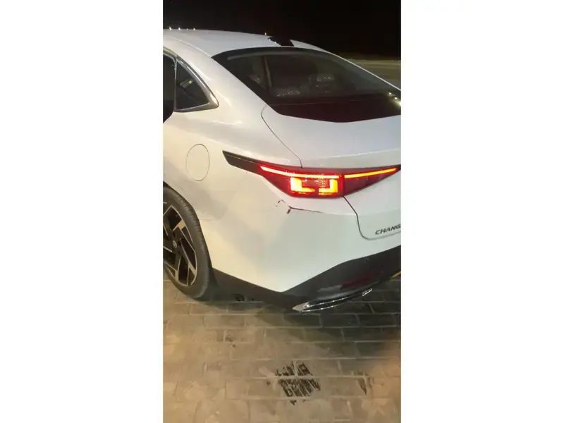 شانجان ايدو 2025