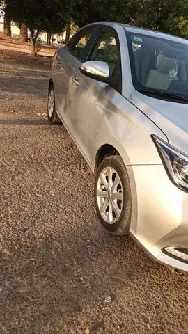 شانجان السفن 2021