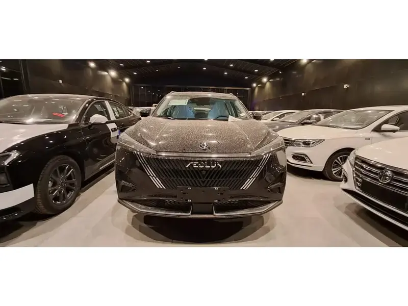 دونغ فينغ ميج 2025