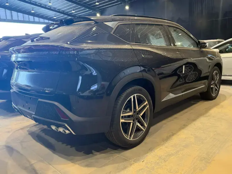 Dongfeng Mage 2025