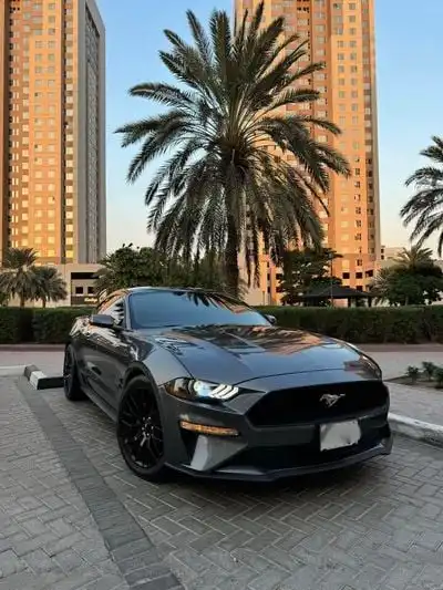 فورد موستانج Ford Mustang 2022 2.3L EcoBoost