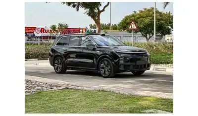 Li Auto L9 Other