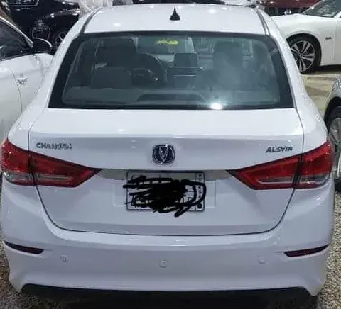 شانجان السفن 2023