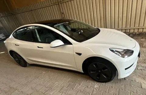 New Tesla Model 3 Standard 2023