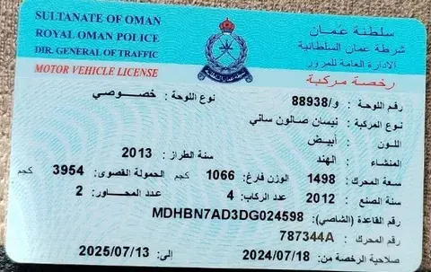 نيسان صني 2013