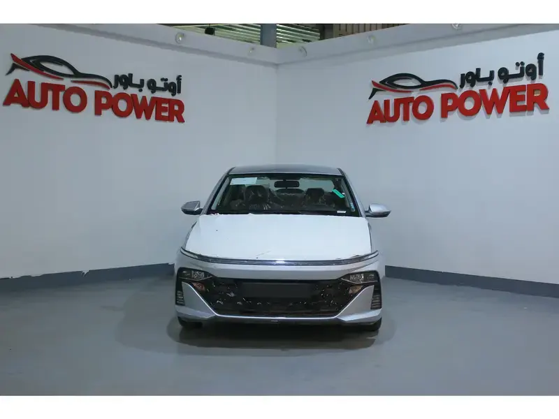 هيونداي اكسنت 2025 فليت