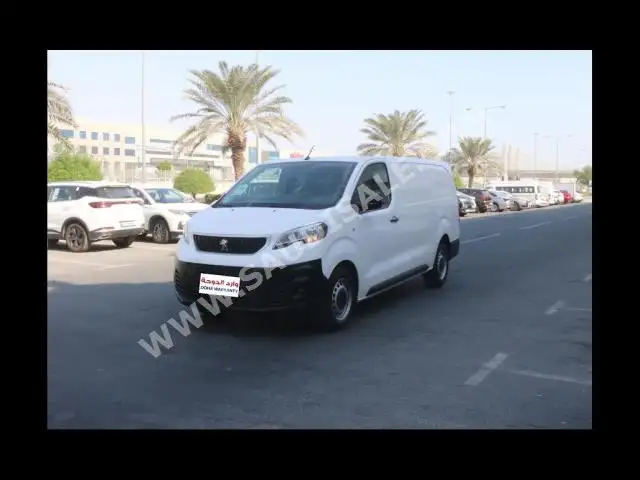 2022 بيجو اكسبرت