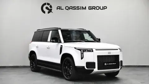 New ROX 01 1.5T VIP (PHEV) 2025