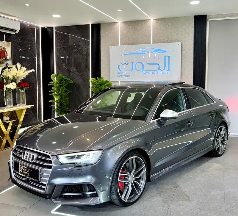 Audi S3 2019