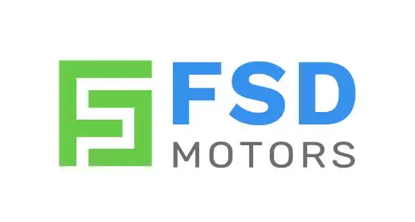 mg-hs-FSD Motors