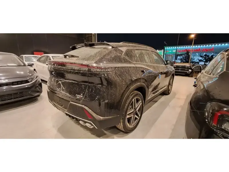 دونغ فينغ ميج 2025