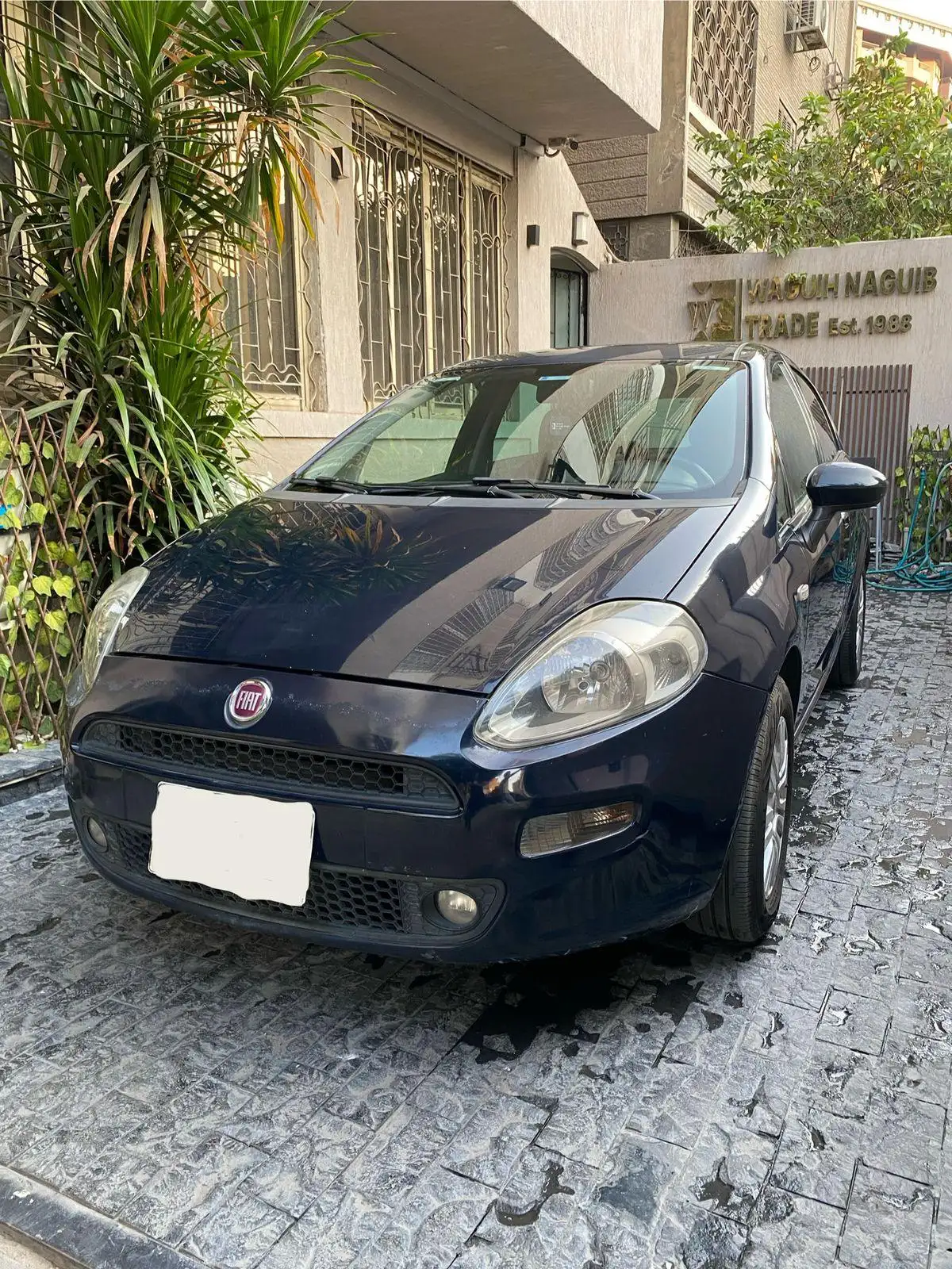 فيات بونتو 2017