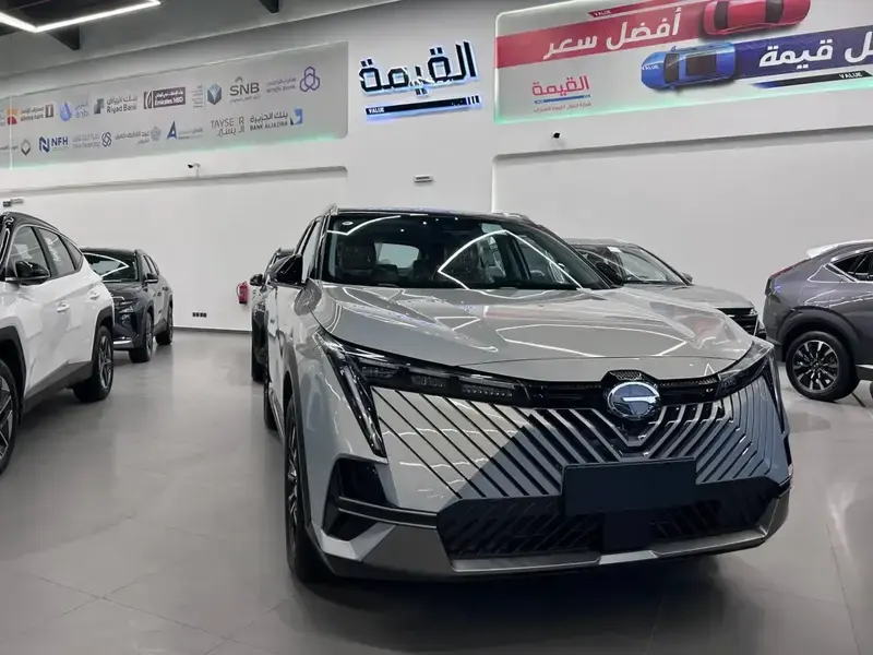 GAC EMKOO 2025 GL