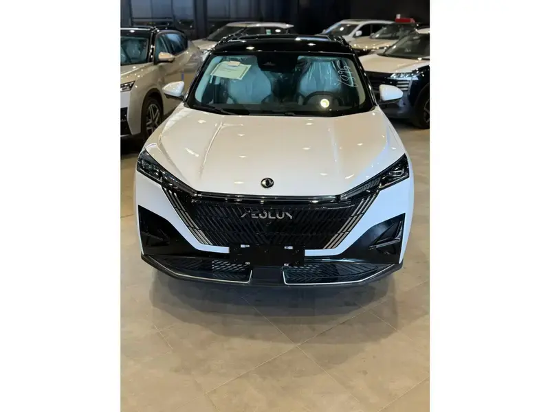 Dongfeng Mage 2025